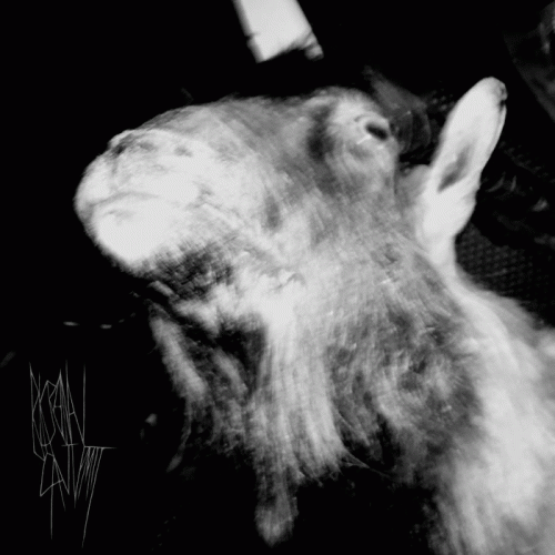 Black Anal Goat Vomit